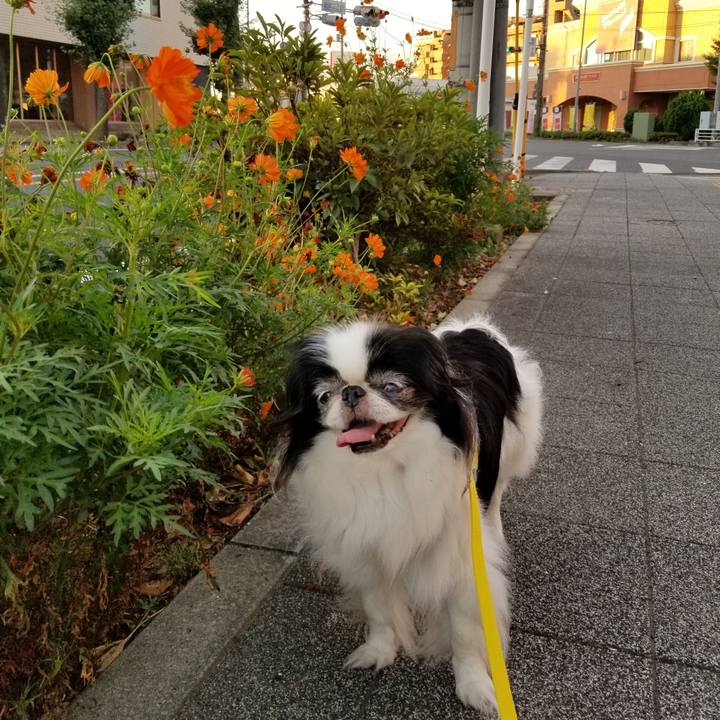 A5dbdae1 442e 478d 8809 3f2862beb6fb 1533852370734