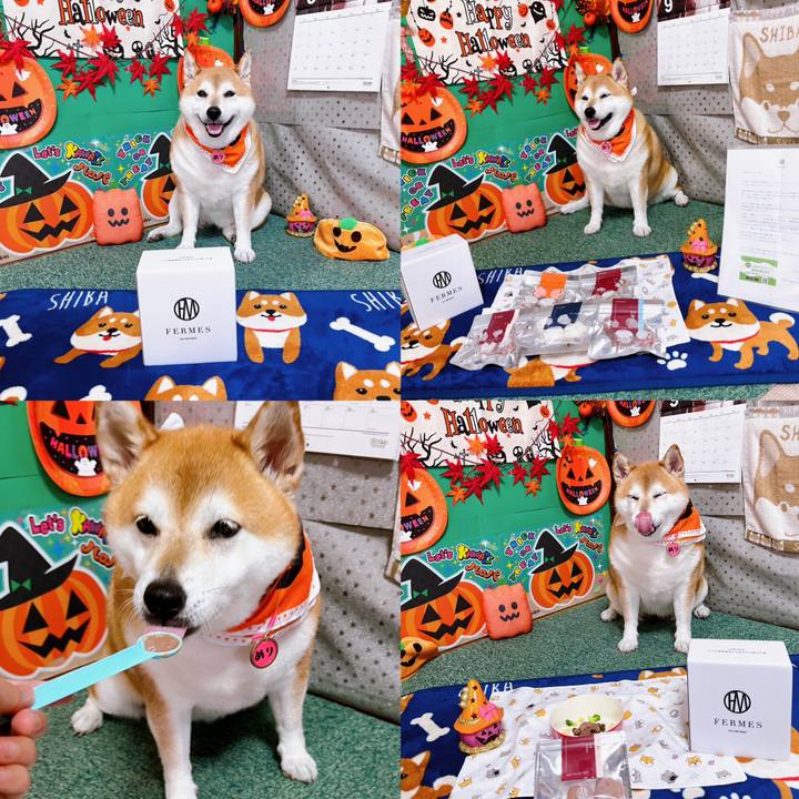 A5dc11b5 6853 462a bf14 73bbe13b6934 1694069624861