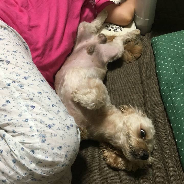 A5dc283c 4207 4f53 b84d dddc3a60c6a3 1534084706139