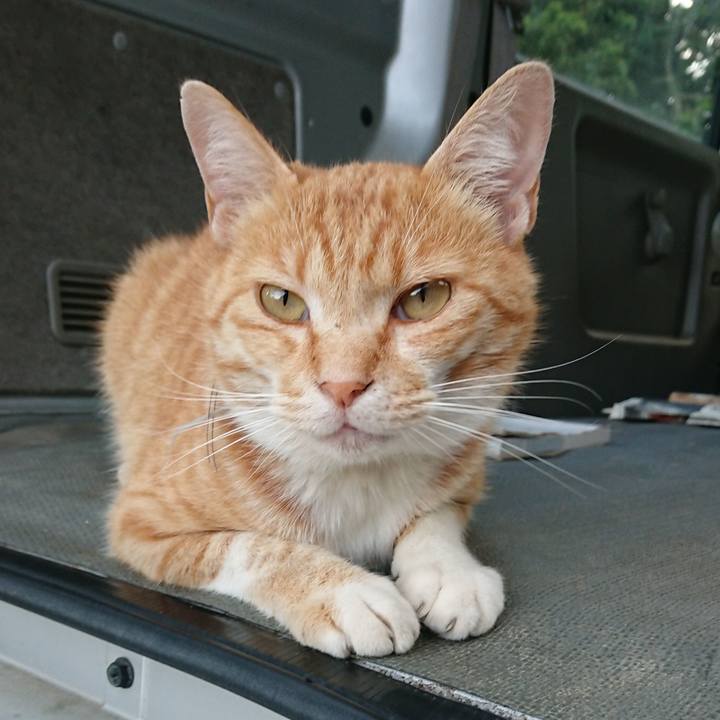 A5dc5227 7a7f 44bf be17 3b2699940390 1592991002081