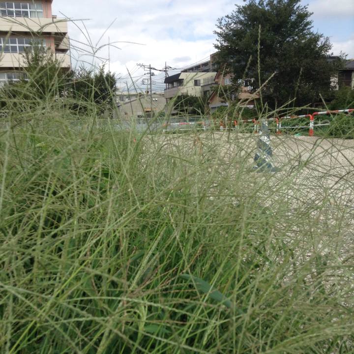 A5dc61b8 d75a 442e 951e bfacf4784eeb 1537667480531