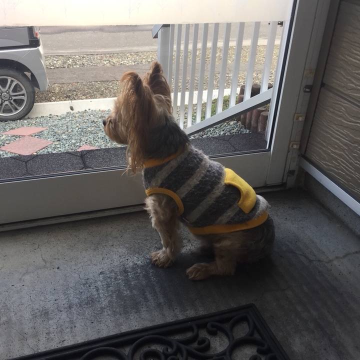 A5dc6383 980c 4141 b514 81ce49e56ccb 1539341009625