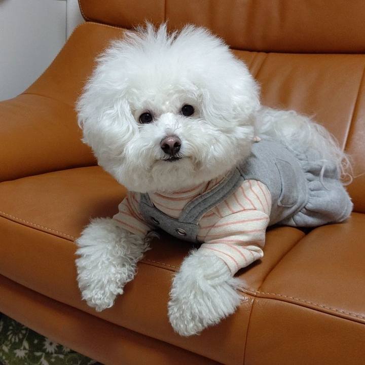 A5dc6e25 4bab 4ff9 a30d 564b64a53b60 1587035885199