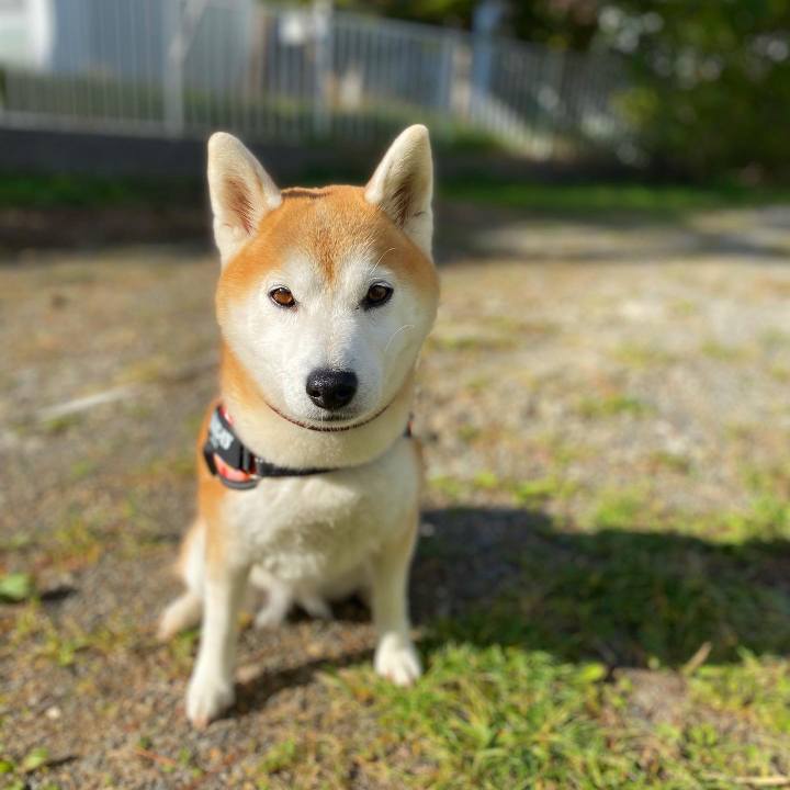 A5dca976 9662 4644 bdbd 090e936ea65c 1698281929118