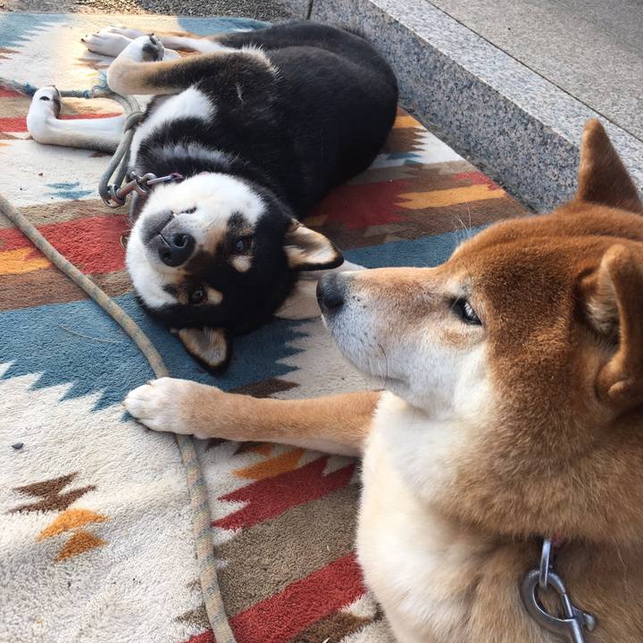 A5dd0c67 1891 4335 b8d5 6c89bfe44e81 1588498479542