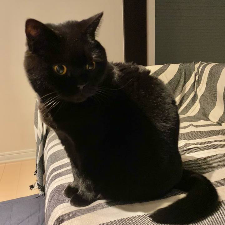 A5dd27d0 4618 476c 8548 6f8f6a30d7a4 1766838136686