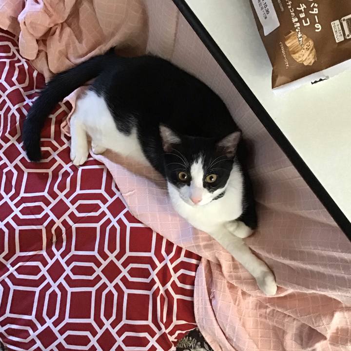 A5dd617b c43a 4fdc aeba ed19d96d9997 1635492248389