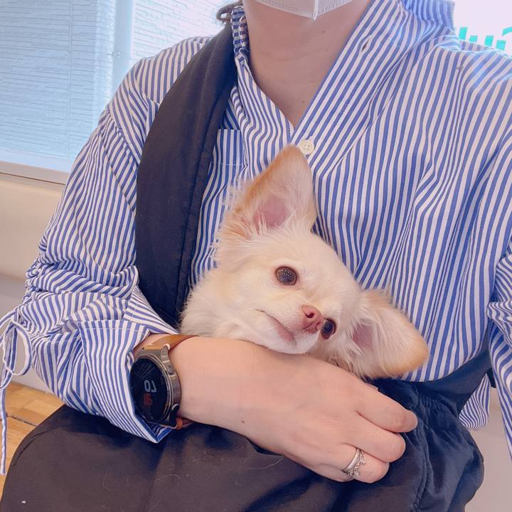 A5dd8c9b 55f5 43f4 b732 f6ad1f357fbd 1681465178400