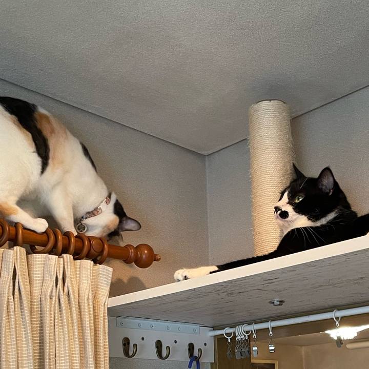 A5ddaa10 25e3 4f05 bc40 173ed1913a80 1694386508026