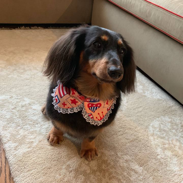 A5ddaa23 d5f3 4e44 9814 82826ec2722f 1566095205413