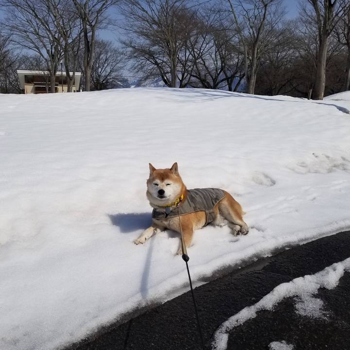 A5ddf4ec 70c6 417e 9136 80ccb54c00fb 1678158547759