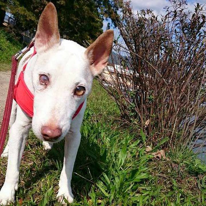 A5de0953 bbcd 424f bb8b 97ed529bbba9 1635631661425