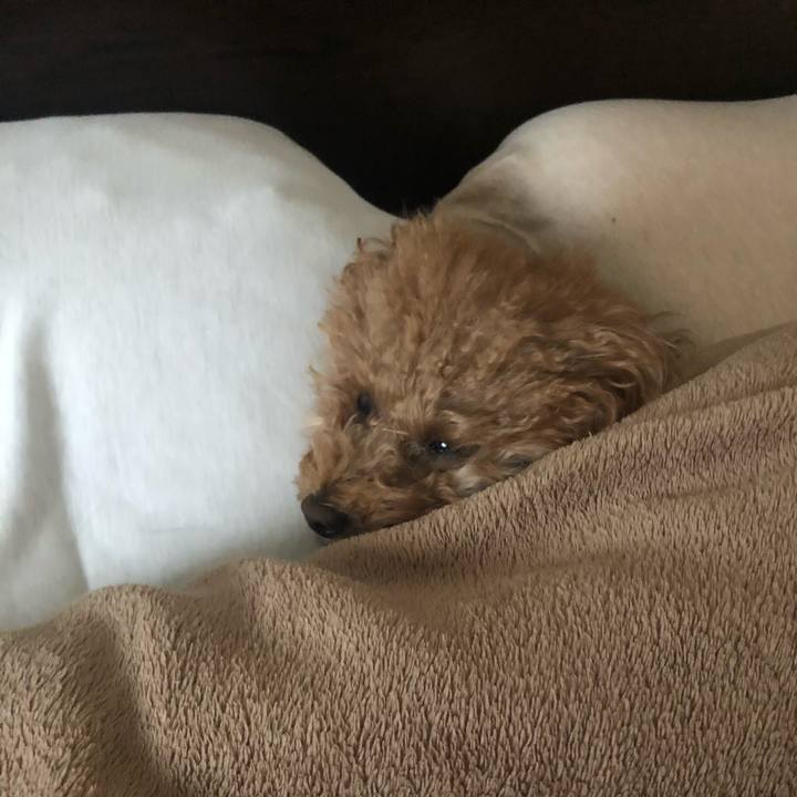 A5de72f4 981a 4013 8be2 48a54d851ff0 1608531727362