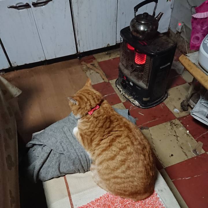 A5de8498 d35e 4f8b bd2e d819ea3d229d 1577223666719