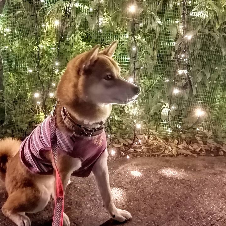 A5df30aa 8c8c 43f7 ac2a 65bfcc62131f 1635155805423