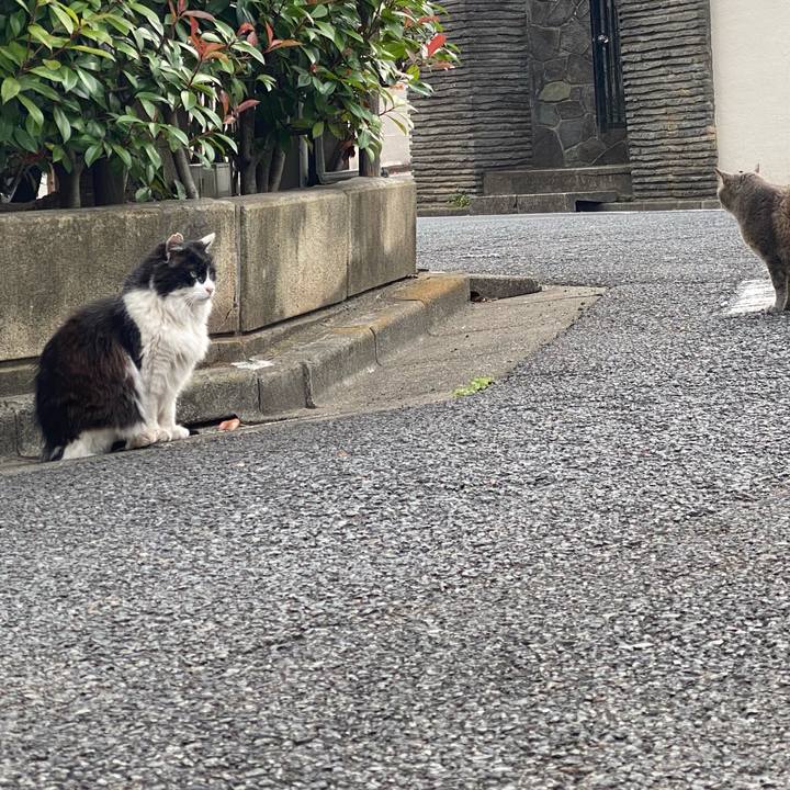 A5df3e0a 7c6f 477e bf88 7b3847211452 1624310754348