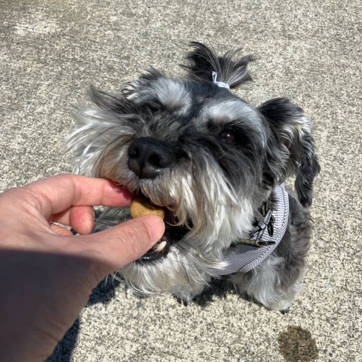 A5df5d35 7559 4946 b1be d15991445fbd 1715871595309