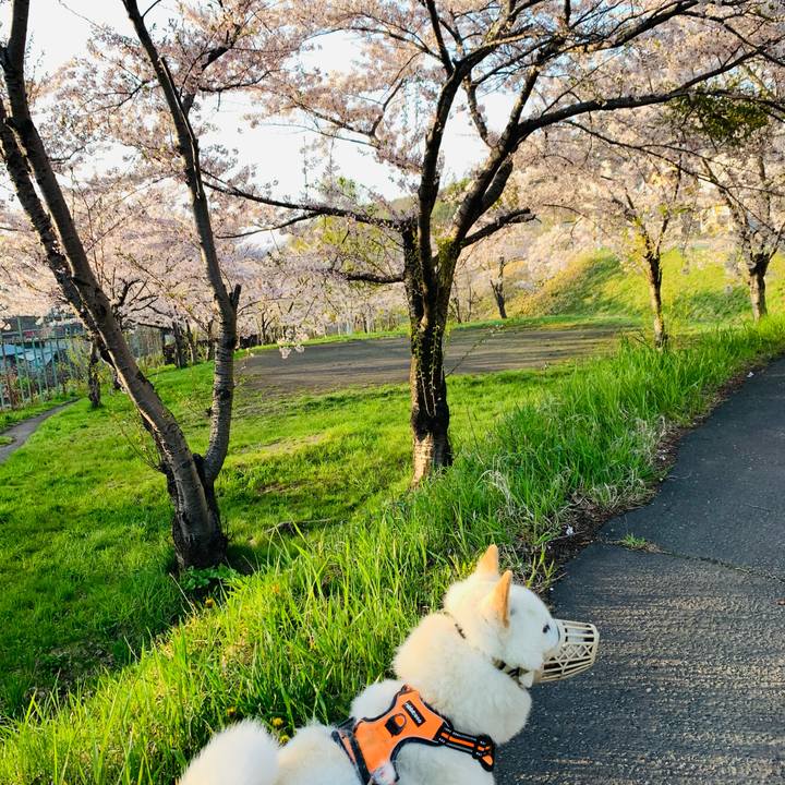 A5df8afd 4ed3 43fd 97d4 4d7943b73334 1620249980457