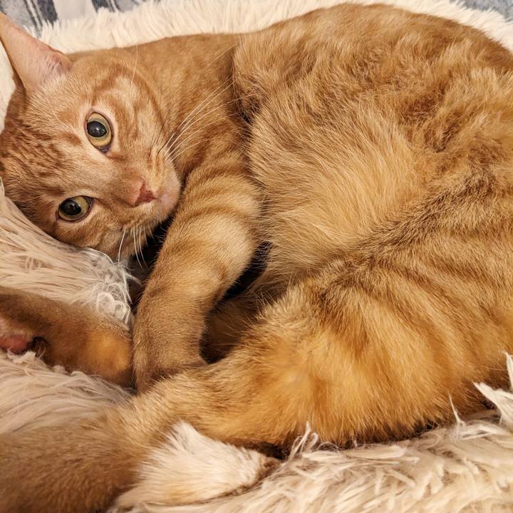 A5dfa489 640f 4f66 bbd8 873c45caaa5a 1676293483040