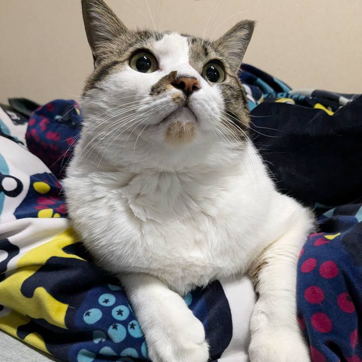 A5dfa5f7 0023 48fe abaa 5513d51f6f49 1734212350590