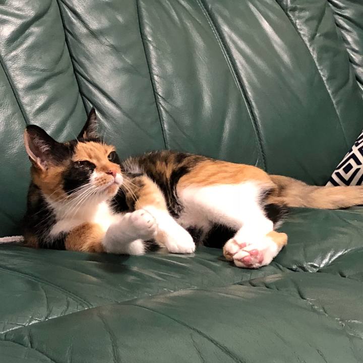 A5dfb882 548d 414c 9609 d82c53835185 1531746056077