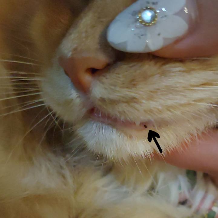 A5dfd8ef cdb2 4855 addd a8417596d54a 1669464531345