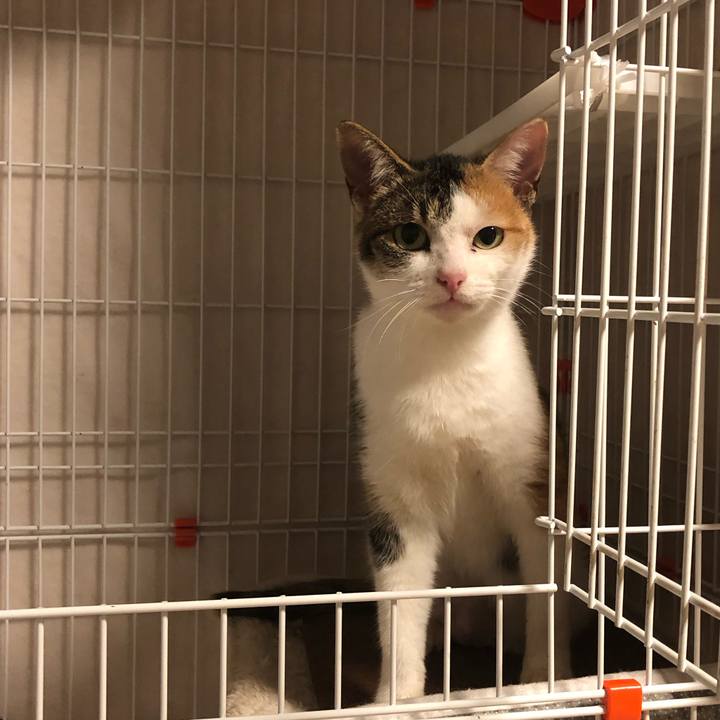 A5e01f7a 1f41 461f a945 dce149704b22 1573910757531