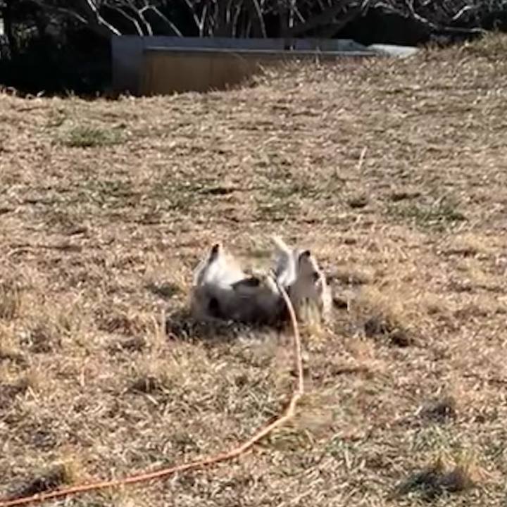 A5e03306 d07d 426e 956c b6cecdc70f1b 1672882990300