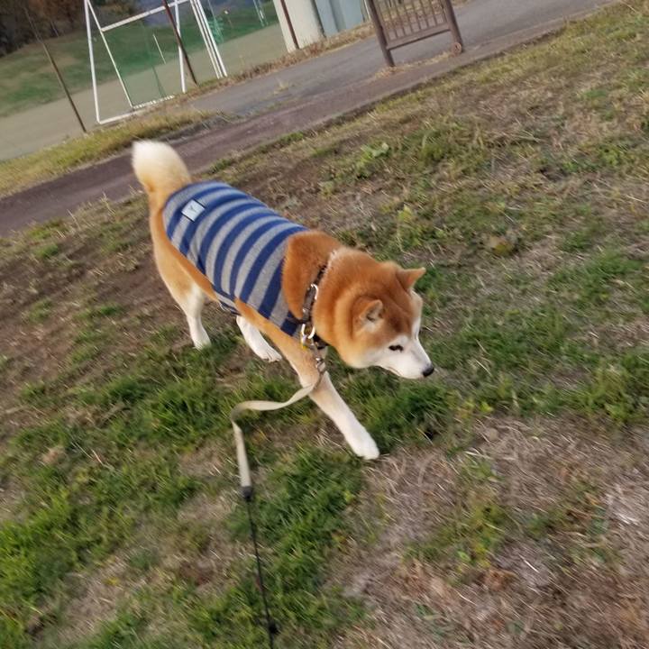 A5e08535 d0b0 458e 8b0e 9b2fc8709d45 1637132984687