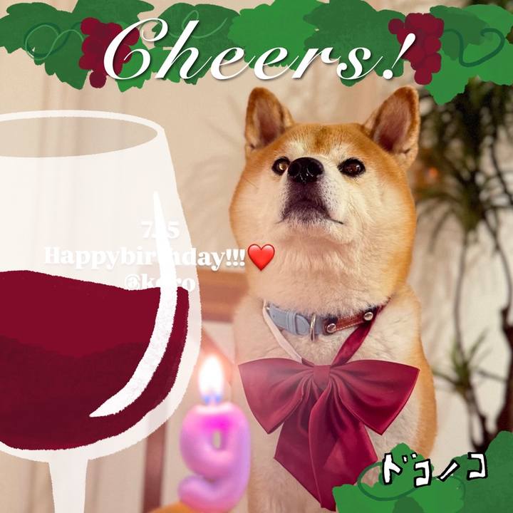 A5e09a8c 8fac 4c9d 93c5 cb6b6df6d83b 1761257109800