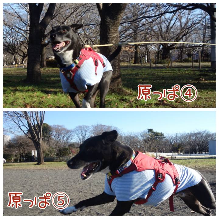 A5e0a17a 8485 49a9 8a3a d68fa8349ddd 1671414485559