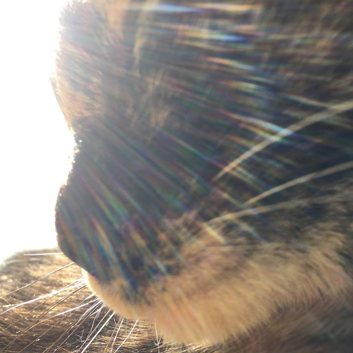 A5e0ae2e 64b3 4686 bfb8 cd13d46f4d21 1520609011257