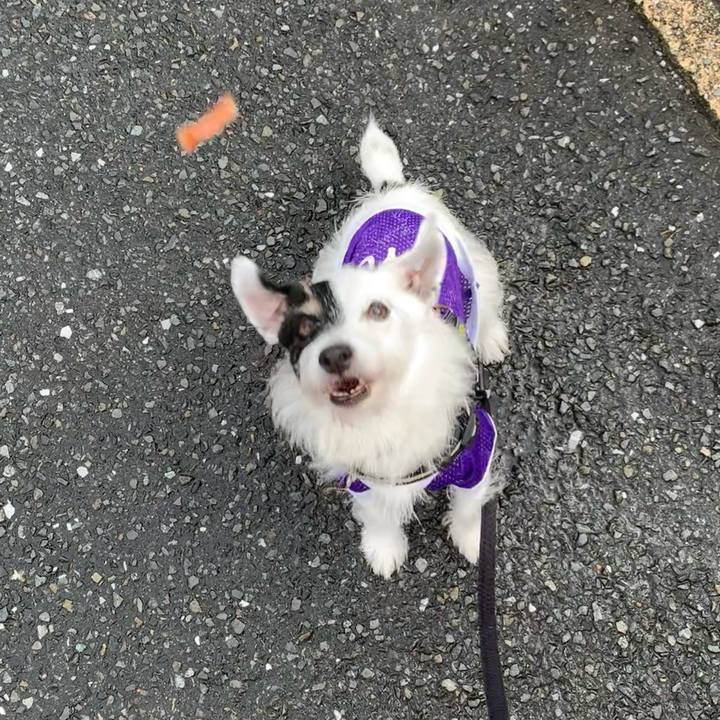 A5e0bc78 d016 4bf5 964a adbcdaac8050 1728085068097