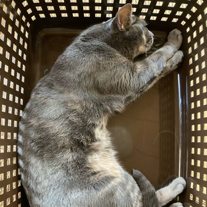 A5e0c6ed 9faa 4238 bf1d e90bb3956e5d 1626918177286