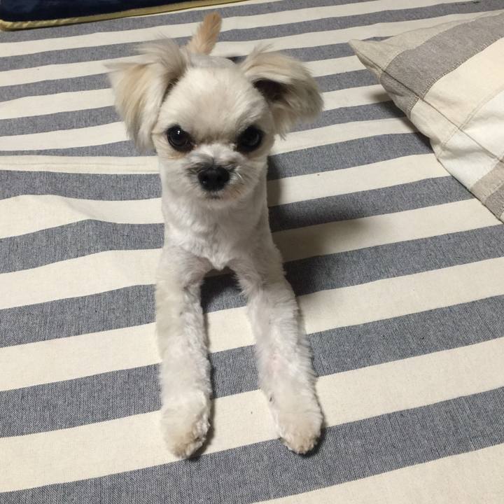 A5e0c9f1 8e74 4939 b389 f68bf0234f8e 1519390274107