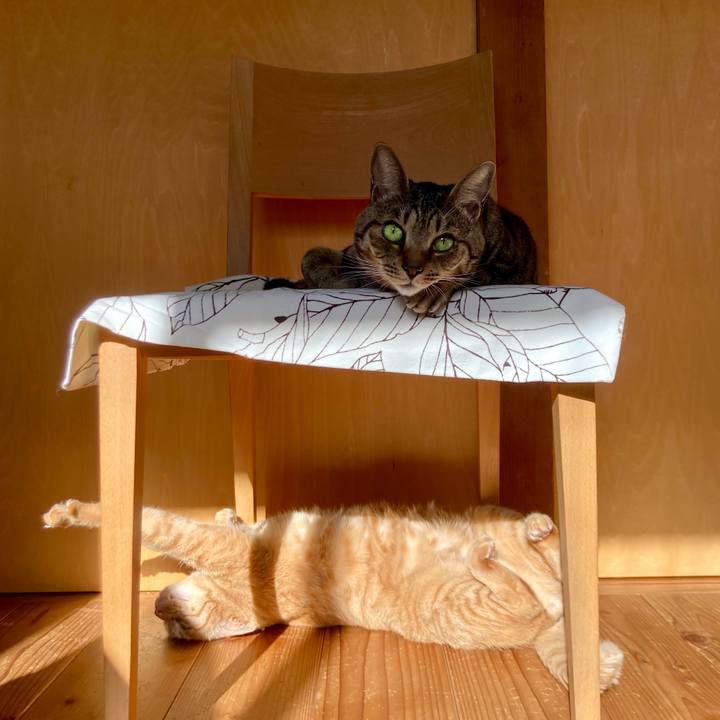 A5e0ceaa 80bb 4a3b b8b1 f08799ee9da2 1711494477549