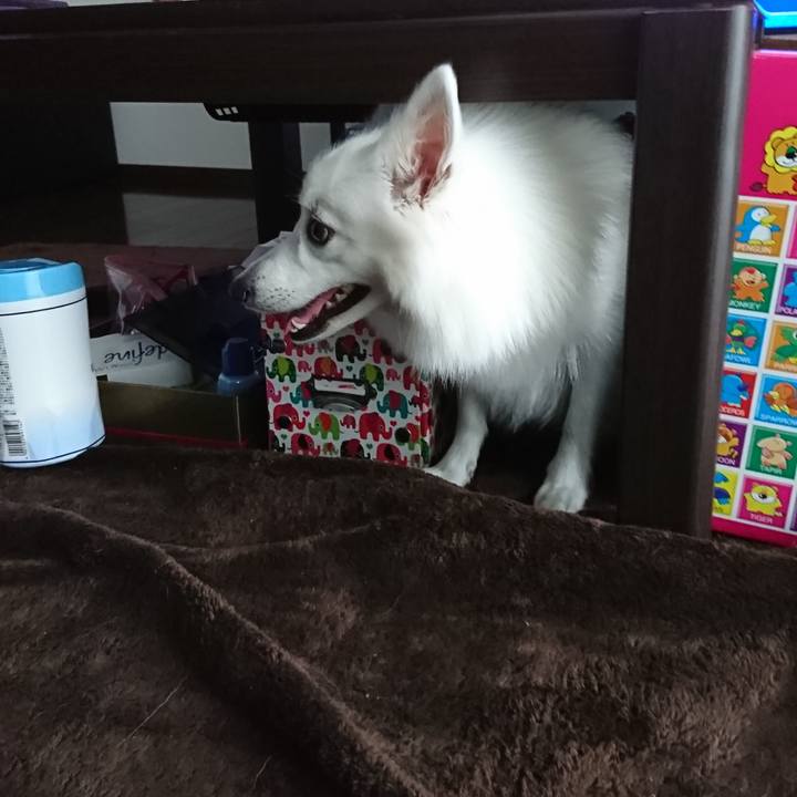 A5e0d517 1b82 4e67 98e1 080b20d0fc1c 1536031499308