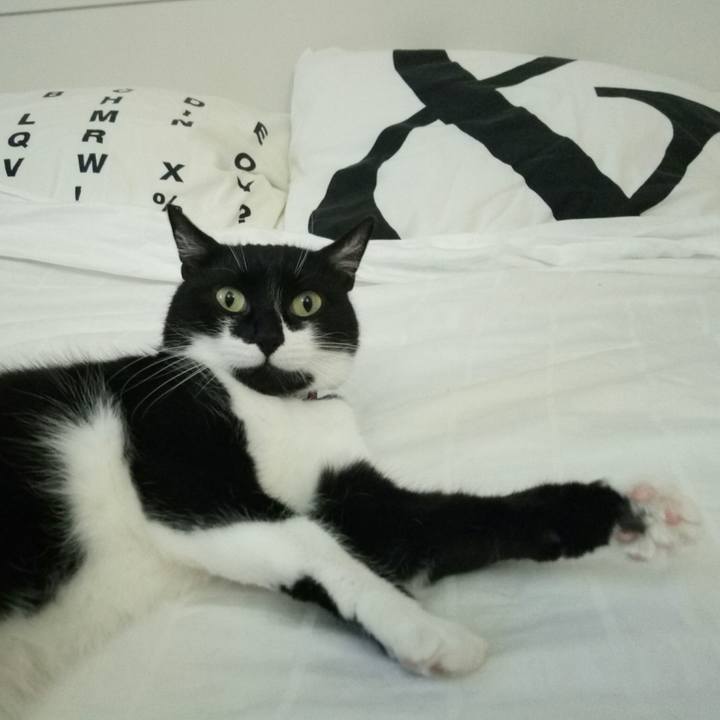 A5e0d57b 7fe8 4517 8d04 b717b44a0f94 1514124376278