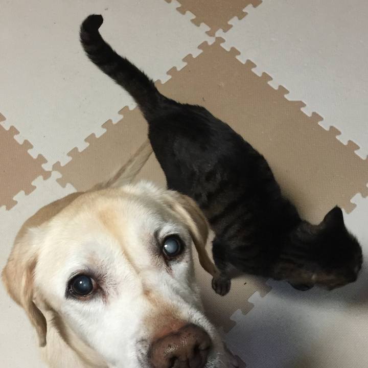 A5e0f62f 3ac5 4b53 b979 4c8fa16bf62f 1515881821103