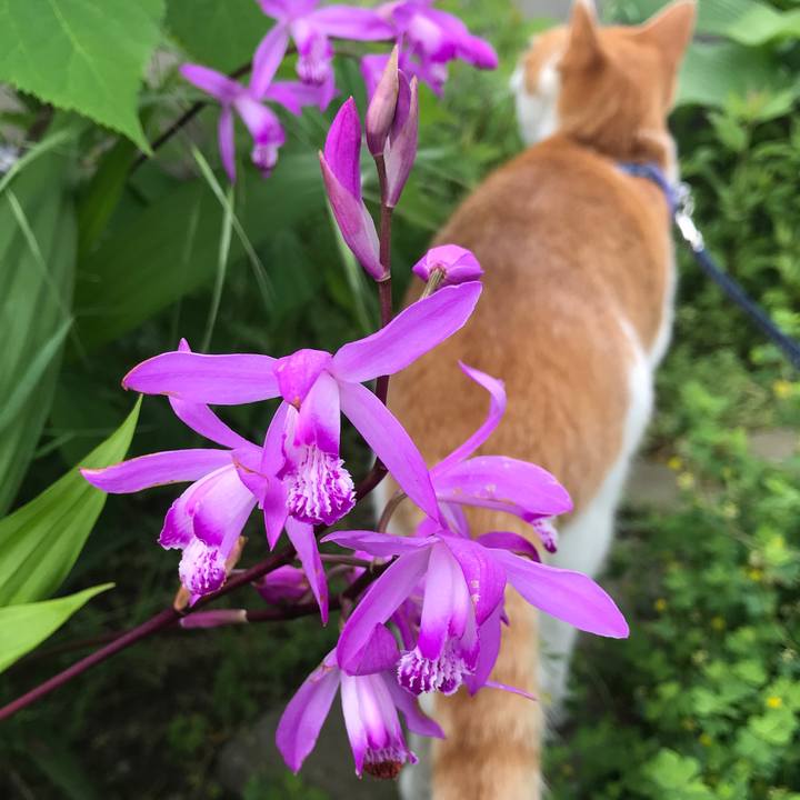 A5e165d1 b5d6 4d09 8310 7e82e6985f75 1527046935239