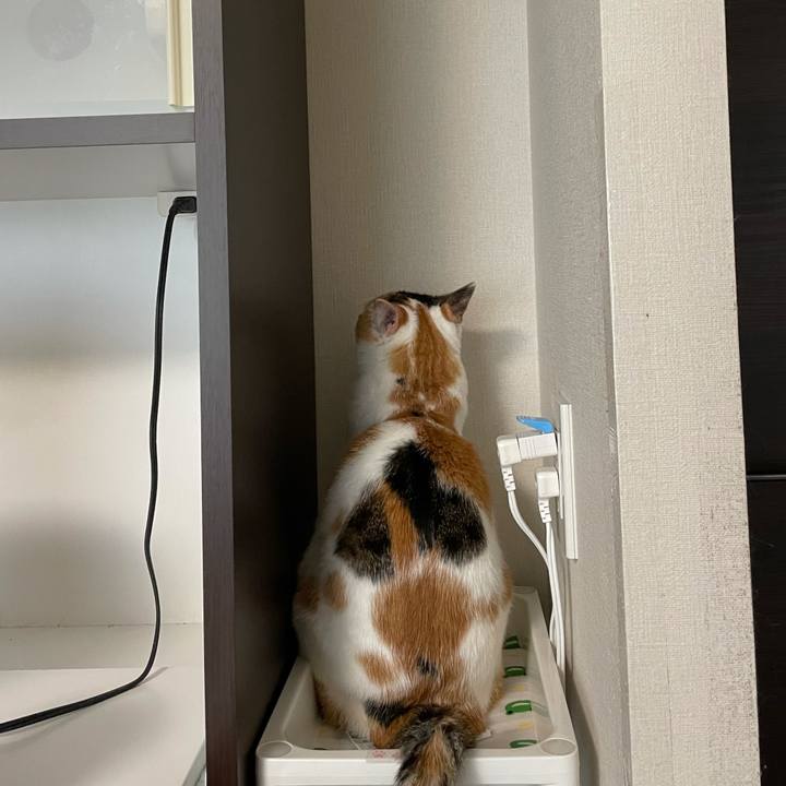 A5e182c5 4f0e 4658 b0e0 686e8c6c4f7b 1622763177038