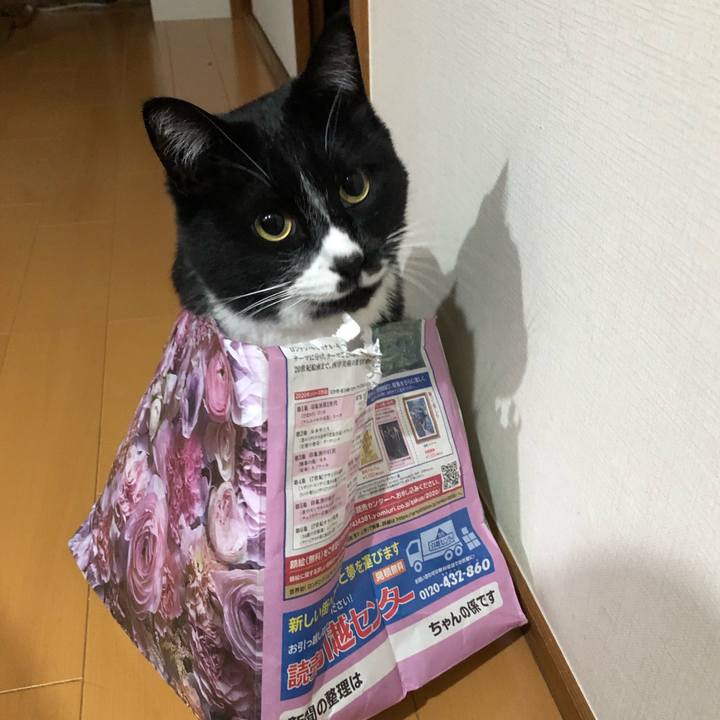 A5e1a0ab dfa7 4765 b2e6 6646db8e4802 1614743098353