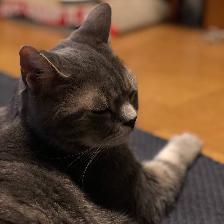 A5e1bdd6 a32d 4c37 ba10 31877381e042 1534608829703