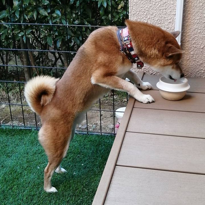 A5e1f07c f134 4c72 9478 ef994ae81228 1645166920681