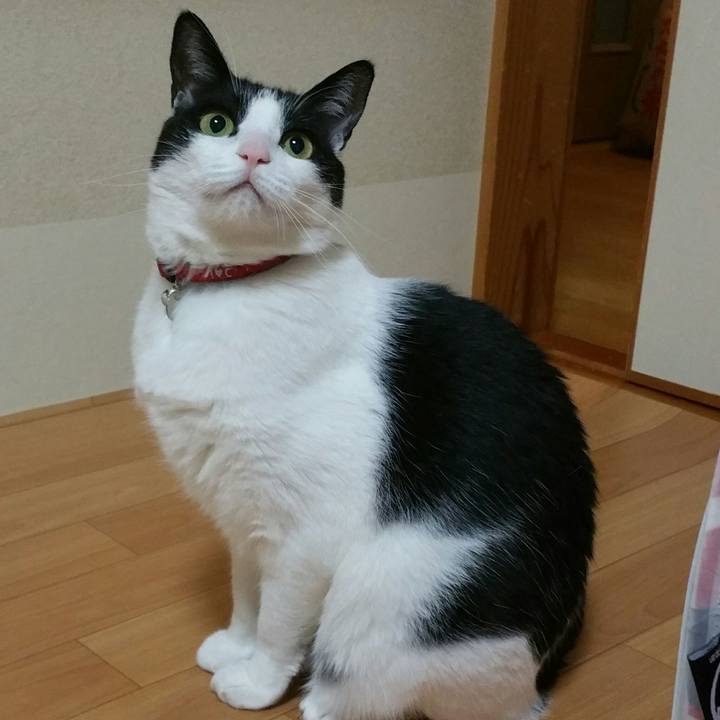 A5e20190 e595 4b00 a106 f8b58a5d75e3 1547947025742