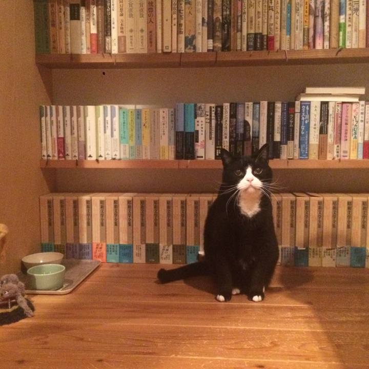 A5e20aab 6ec1 40e4 af1f d4b4379b7fd1 1511872406509