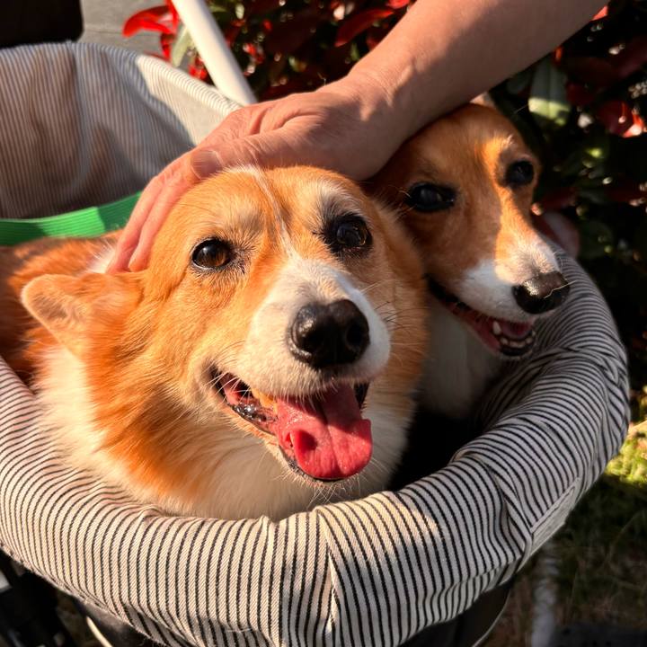 A5e20deb 0cdf 4f2d 9779 523643af63af 1733199898396