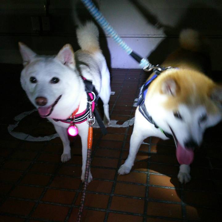 A5e223b8 7b99 47e6 ba46 882670d57d7c 1564916669925