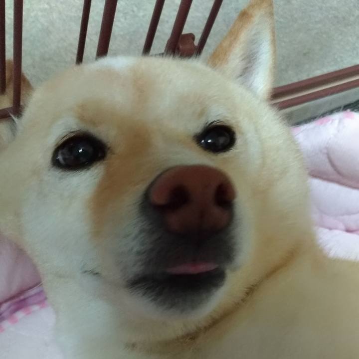 A5e228f8 e988 4c3c a907 5957daaac8a8 1596286542898