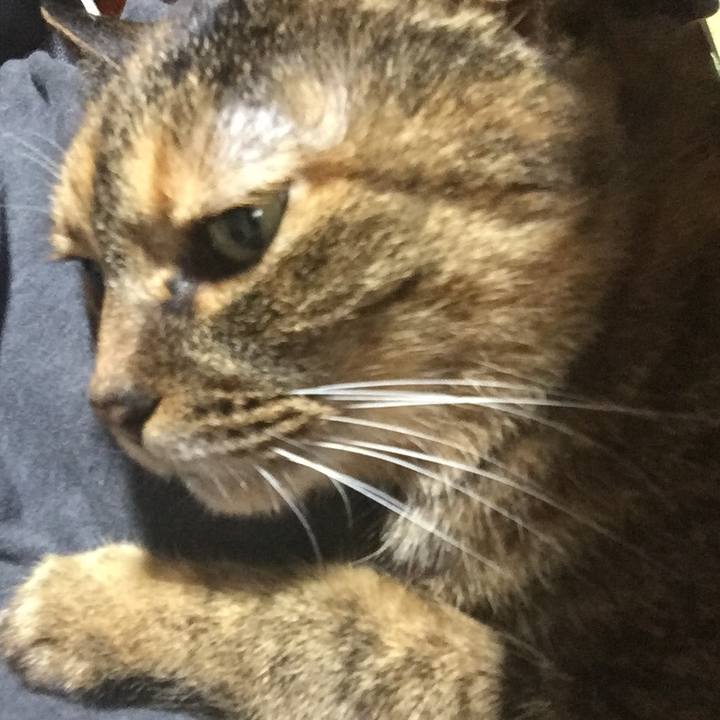 A5e24b29 7c24 4672 90c1 b68bfad7e653 1552287008339